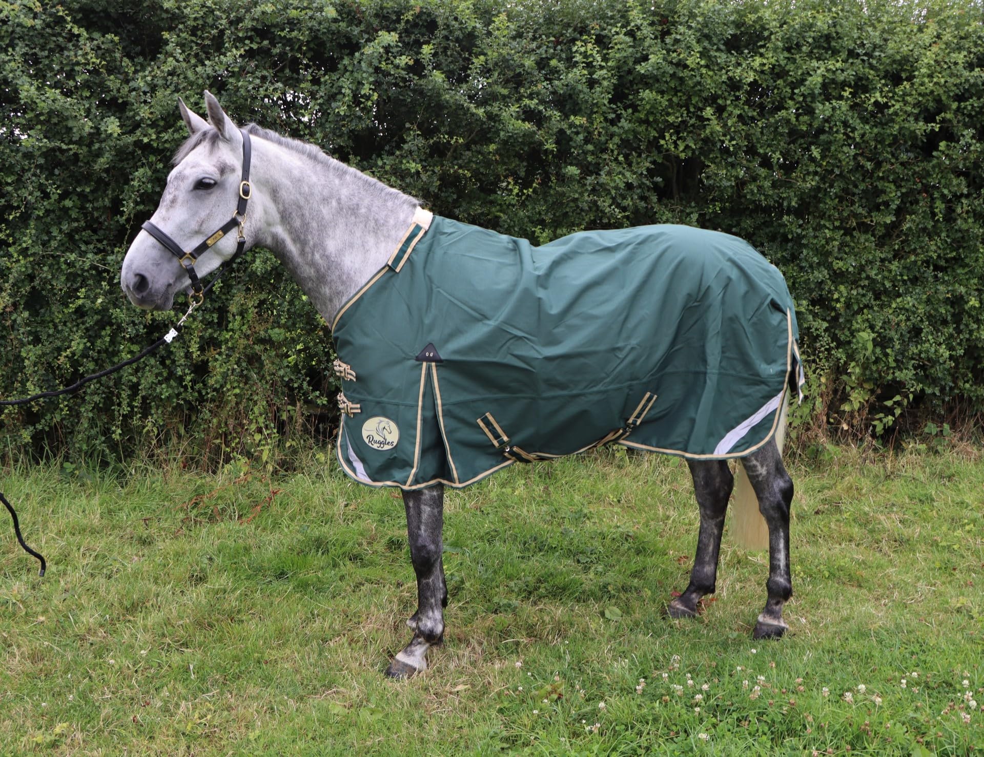 Ruggles Lightweight No Fill Turnout Rug for Horse and Pony | Waterproof and Breathable | Durable 1200D Teflon Coated Outer | Ideal for Warmer Showery Days (5' 3", Sycamore) โ image 1