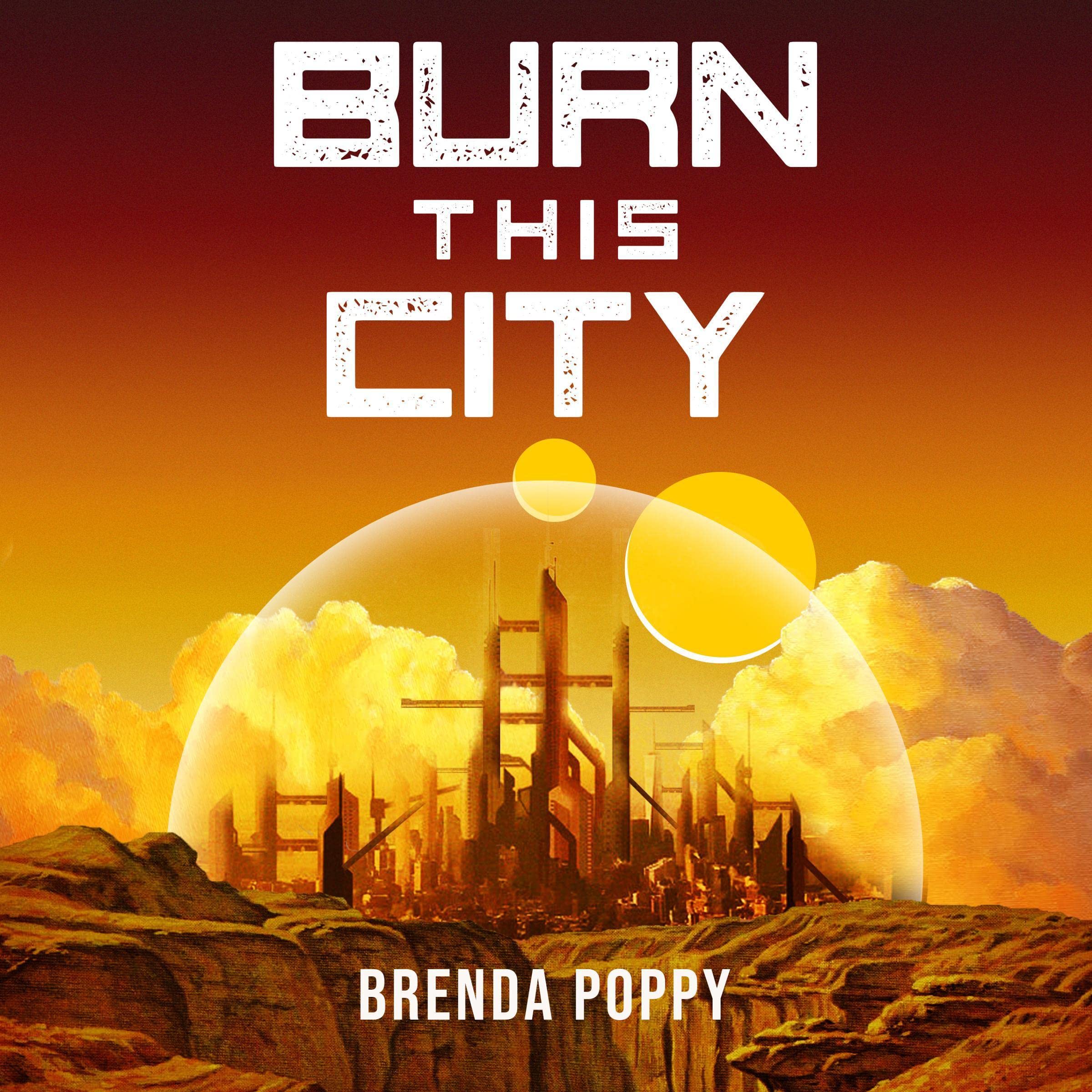 Cover art for Burn This City