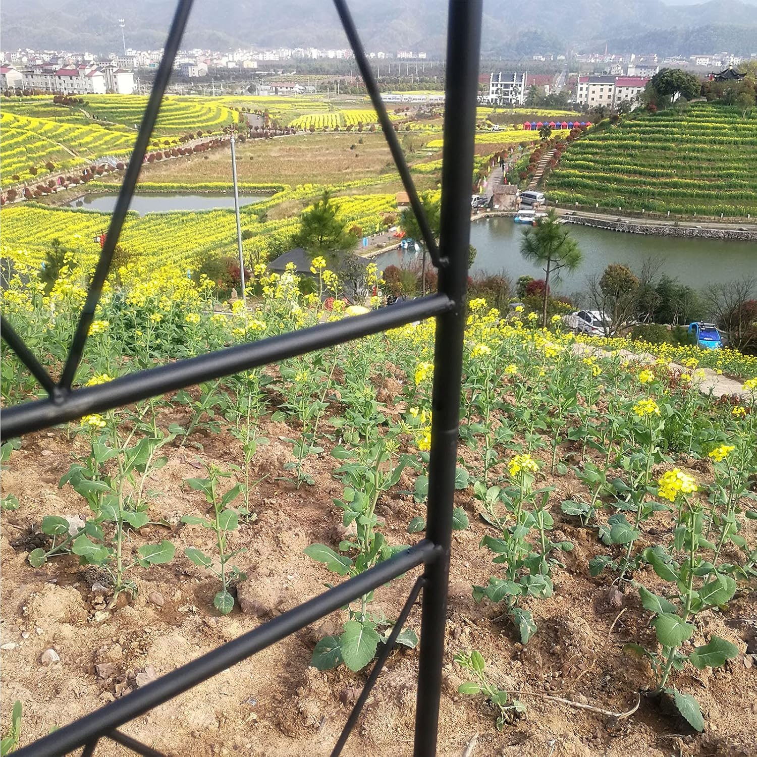 Garden Arch Rose Arch for Climbing Plants,Arbor Arch Wedding Arch,Pergola for Indoor/Outdoor,Lawn Garden,Trellis,Archway Pergola Trellis,Celebratory Decoration,225X110X36cm,Black