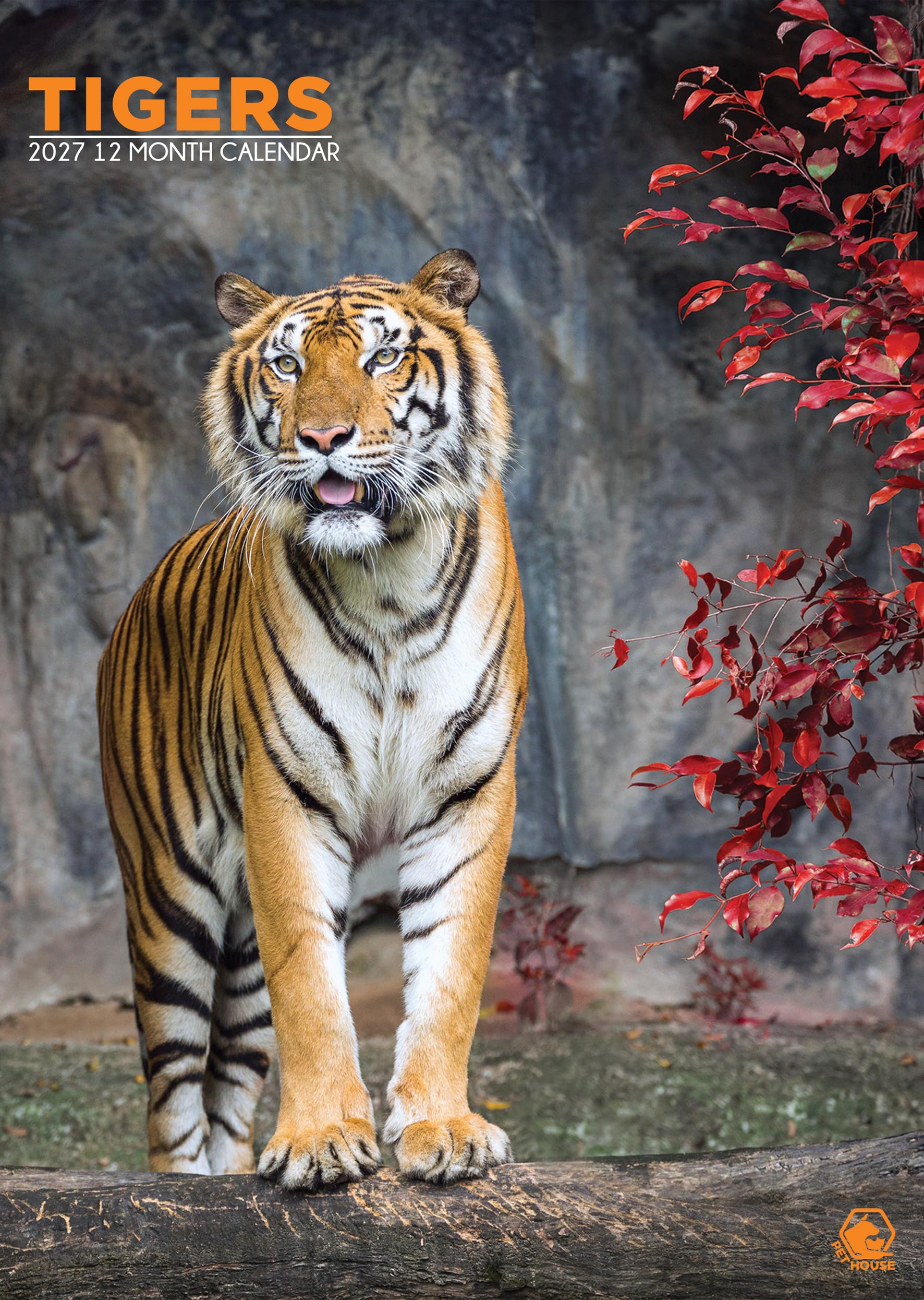 Tigers - A3 Calendar 2027