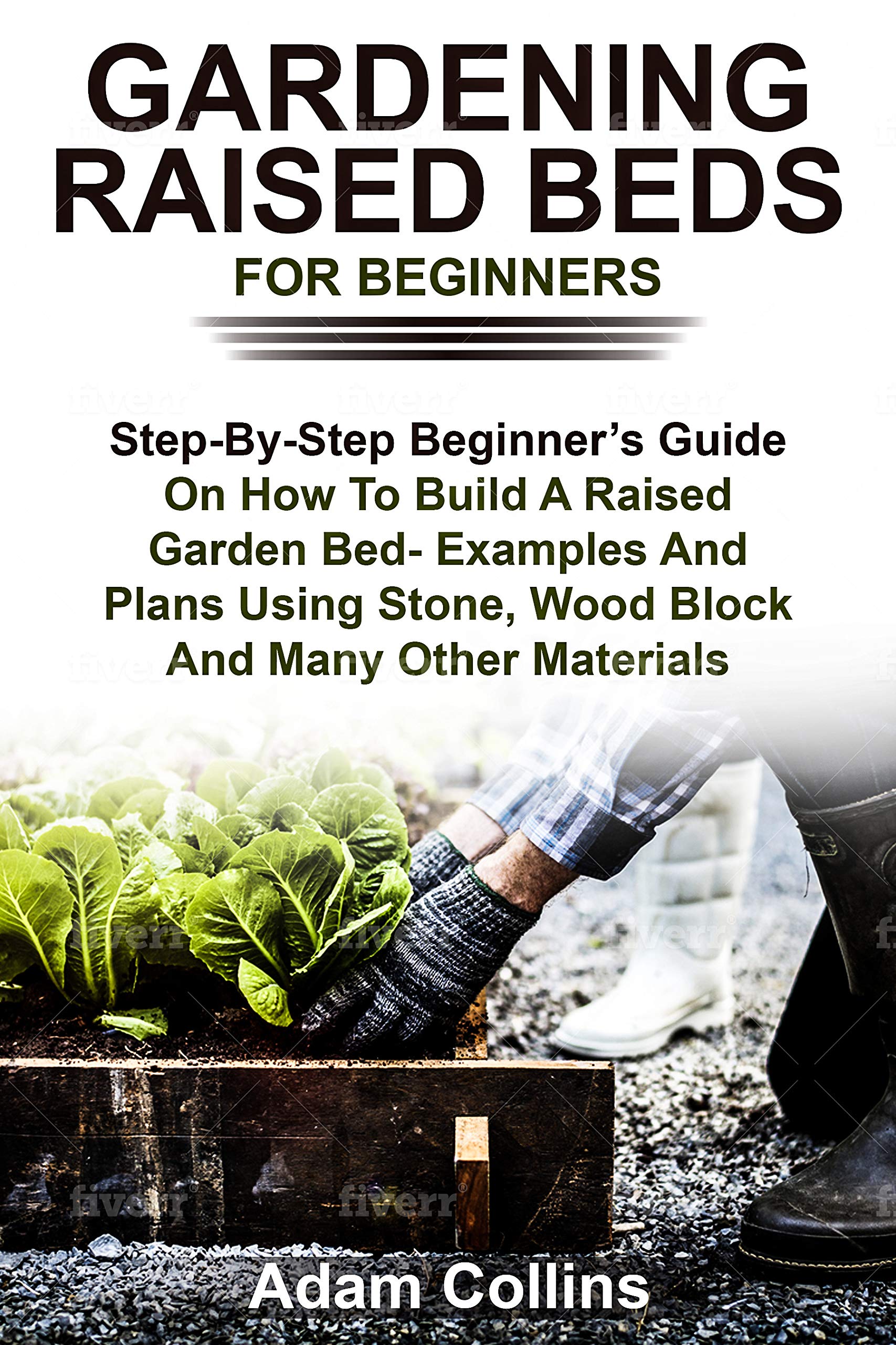 Buy GARDENING RAISED BEDS FOR BEGINNERS StepByStep Beginner’s Guide