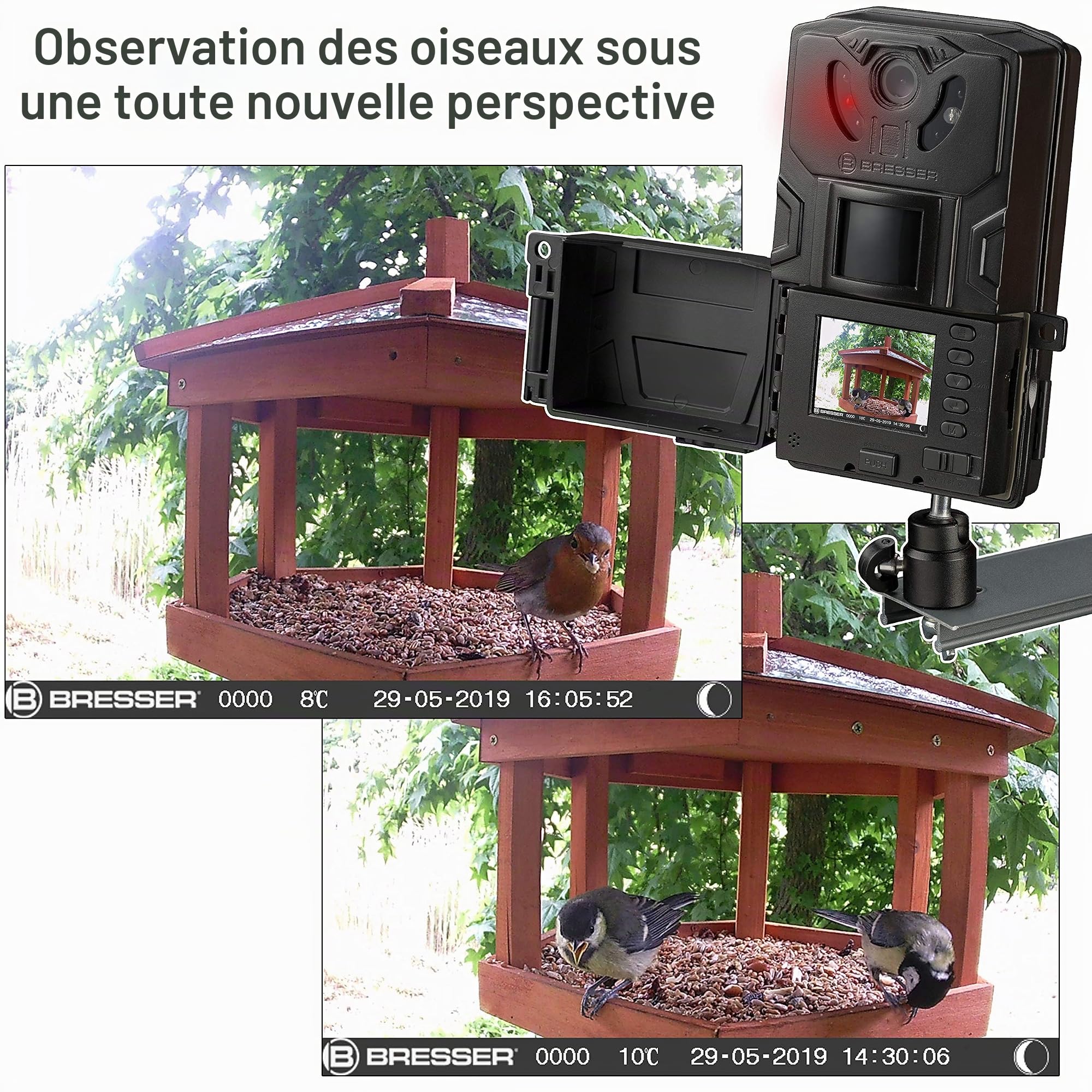 BRESSER Vogel indoor SFC-1 Caméra de Surveillance pour Petits Animaux avec détecteur de Mouvement pour Photos et vidéos en qualité Full HD 1080p