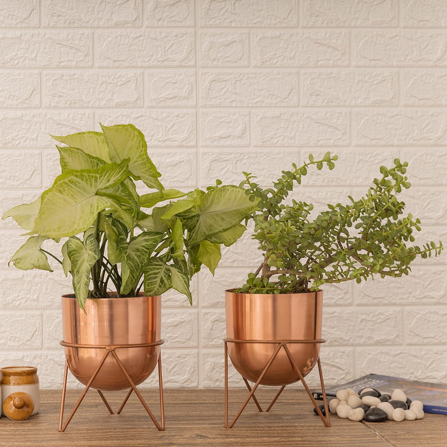 HomeShastra Premium Rose Gold Pot Metal Planter with Stand Pack of 2