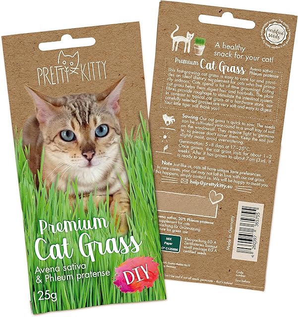 Premium Cat Grass Seeds for Planting: 1x 25g Plant Seeds for 10 pots natural Cat Treat  Fibre Supplement for Cats  Cat Grass Seed Fast Growing  Grass for Cats, Cat Plant  Cats Grass by PrettyKitty