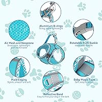 Vista 2 de Blue XXS - Juego de arnés y correa de malla transpirable reflectante ajustable sin tirones para perro, arnés fácil de caminar para perros y gatos