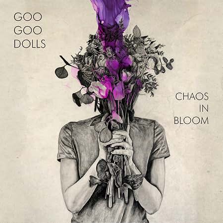 Amazon.com: Chaos In Bloom
