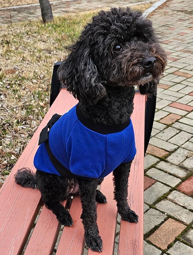 Disfraz Deportivo Azul con Cinturón Negro para Perros Talla S miniatura 7