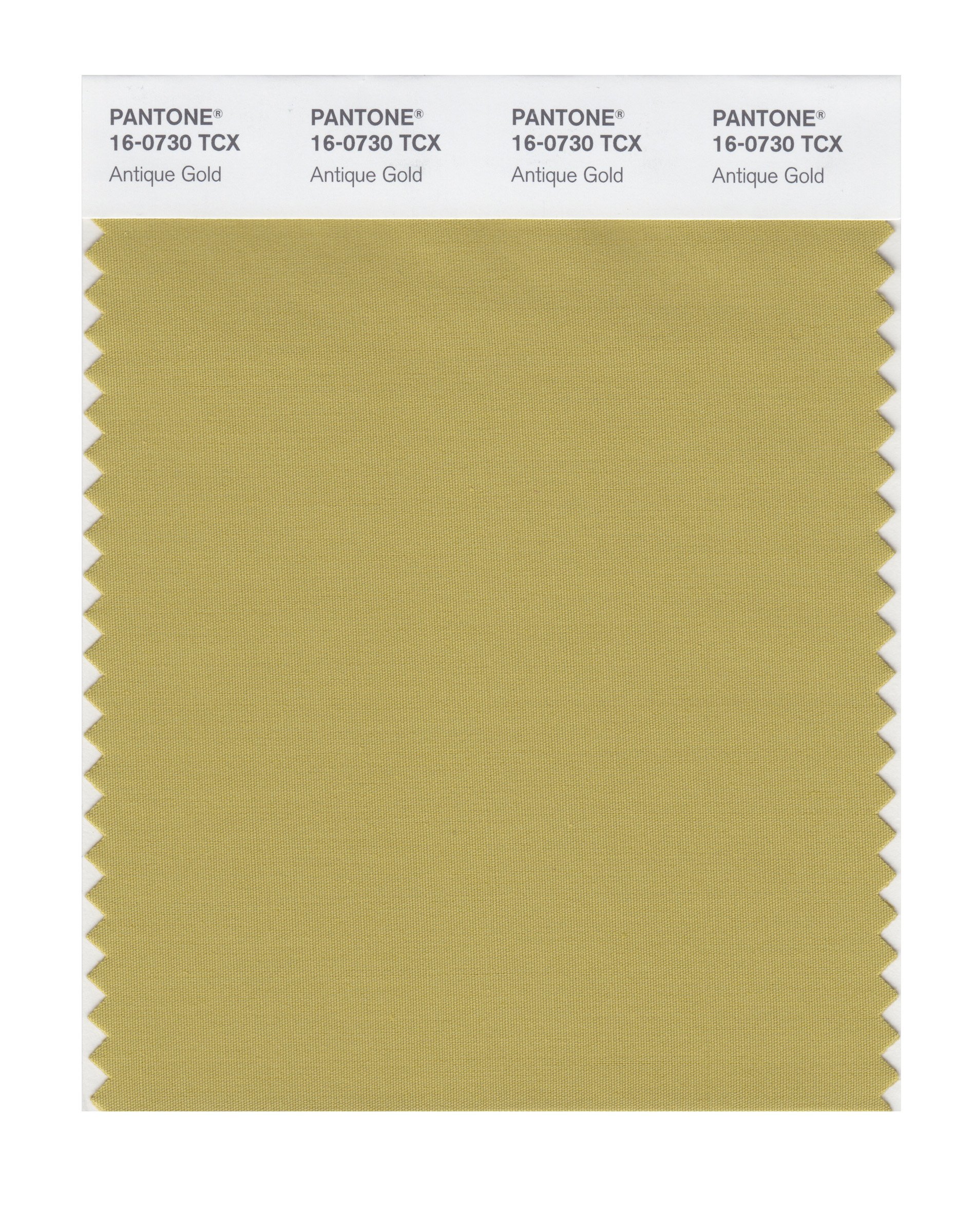 PANTONE Smart 16-0730X Color Swatch Card, Antique Gold - House  