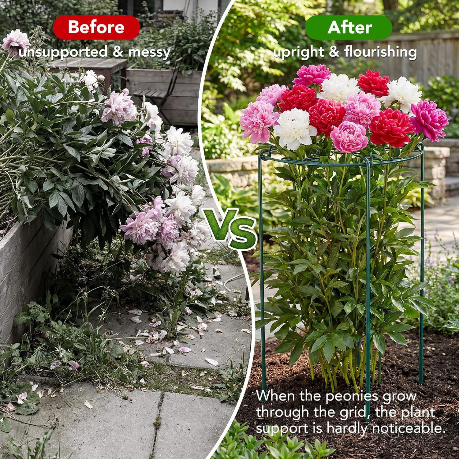 6 Pack 16 x 24 Inch Peony Cages and Supports, 16" D x 24" H Grow Through Plant Support Grid Brace for Outdoor Plants Flower, Metal Peony Stake Peony Ring Hoops Frame Support for Rose Tomato Vegetables