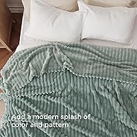 Vista 325 de Bedsure GentleSoft Twin Blanket for Couch - Cozy Soft Blankets for Women, Cute Small Fleece Throws for Girls, Light Grey, 60x80 Inches