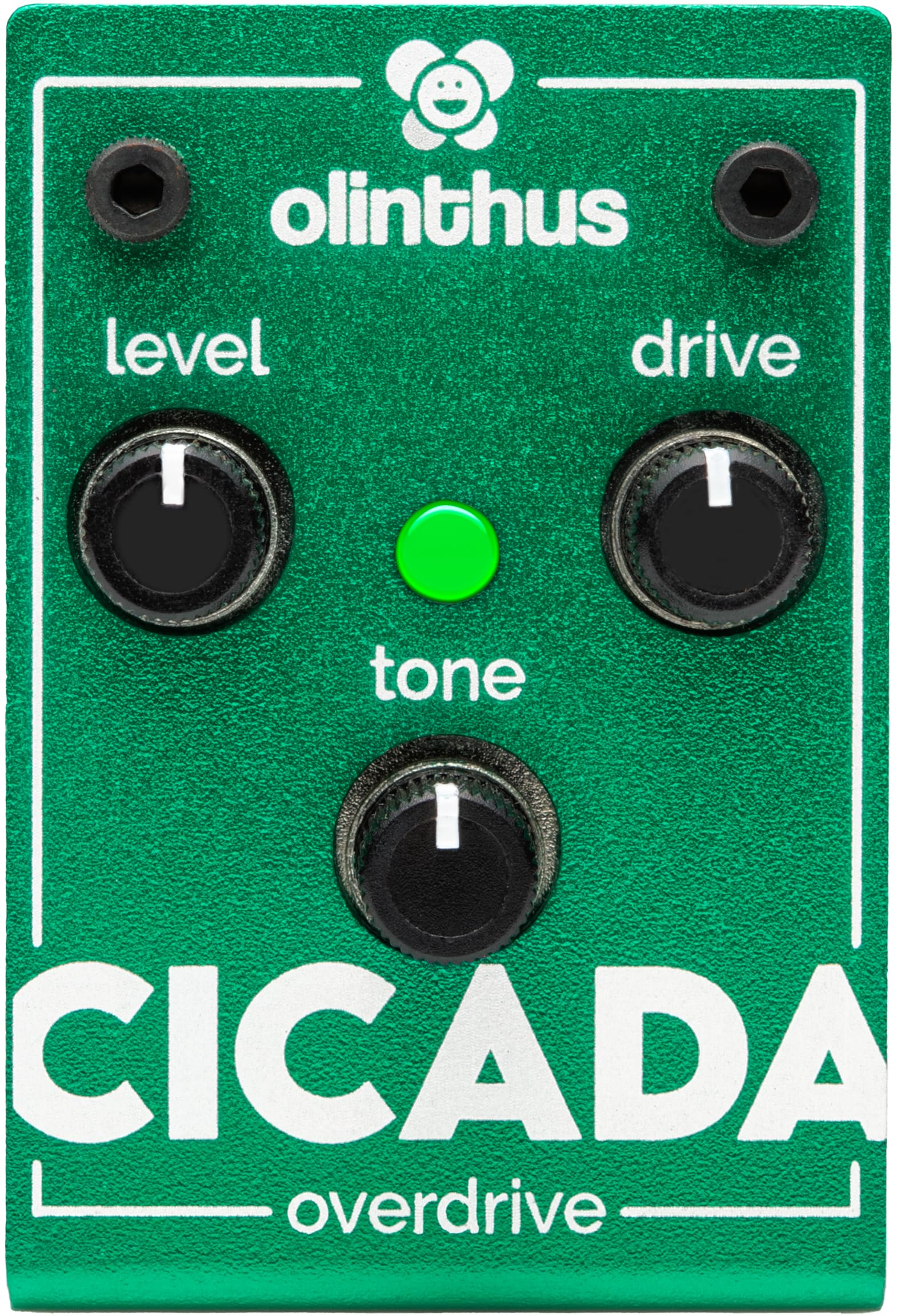 Olinthus オリンサス エフェクター オーバードライブ Cicada Amazon | Olinthus オリンサス エフェクター オーバードライブ Cicada