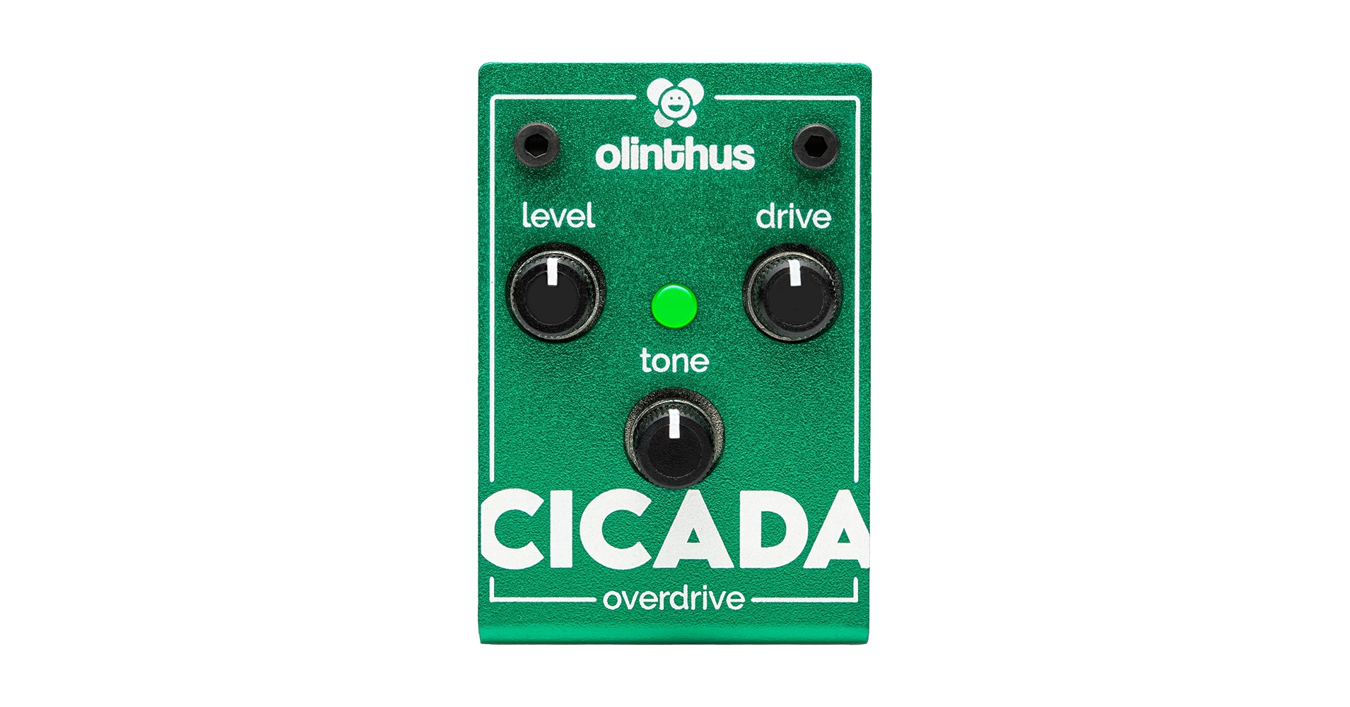 Amazon.com: Olinthus Olinthus Cicada Overdrive – World's Smallest