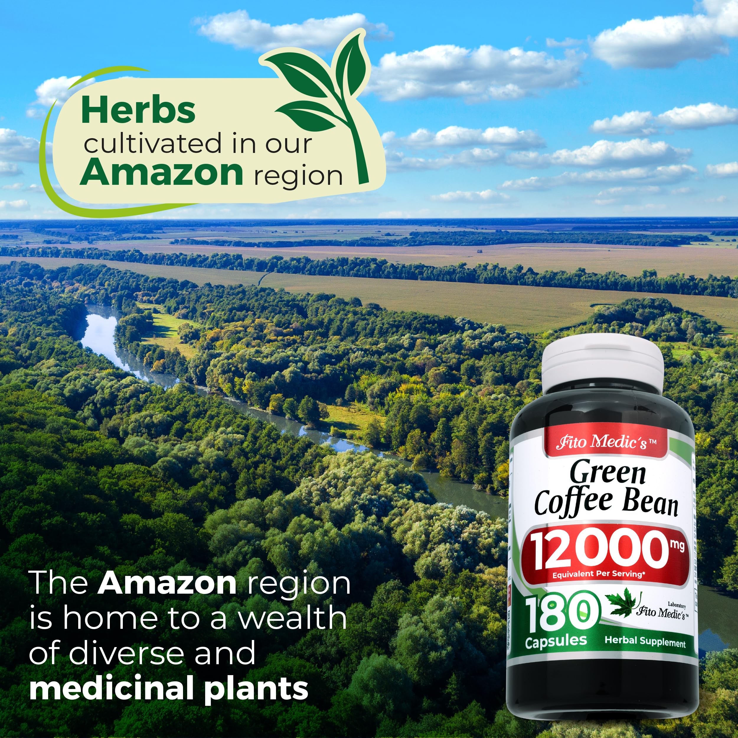 Lab | green coffee bean extract | green coffee beans | 180 Capsules — Amazon image 6