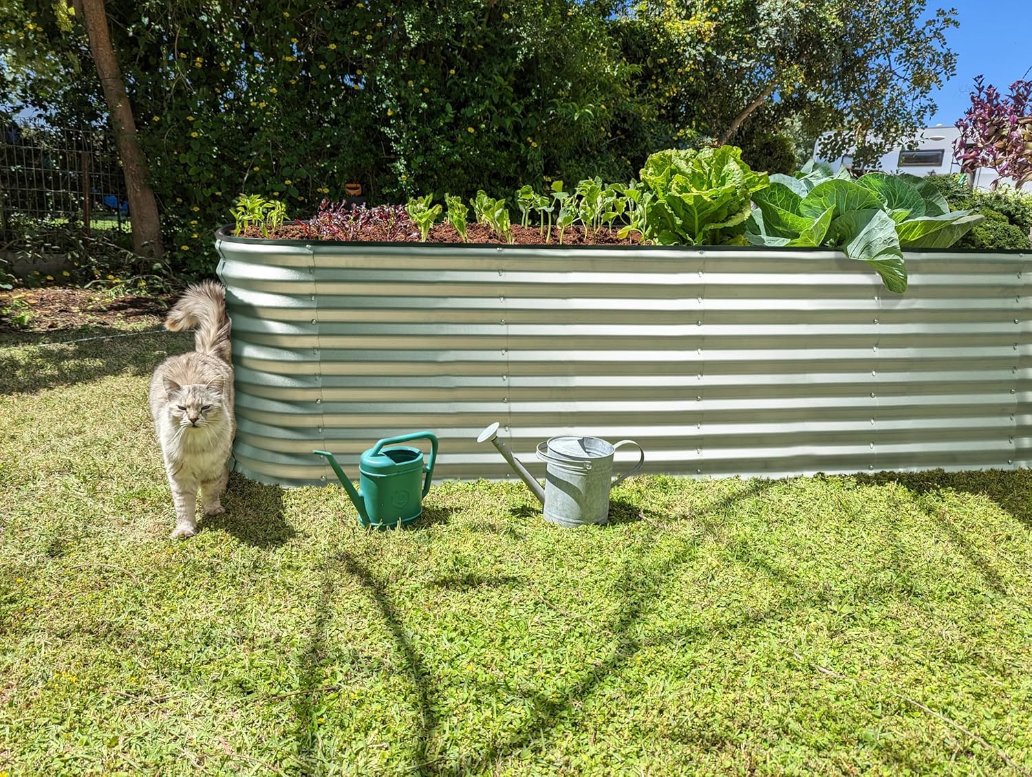 Galvanized Raised Garden Beds Outdoor // 6×2×2 ft and 8×2×2 ft Planter Raised Beds for Gardening, Vegetables, Flowers // Large Metal Garden Box (Silver) // Patent Pending Tool-Free Assembly