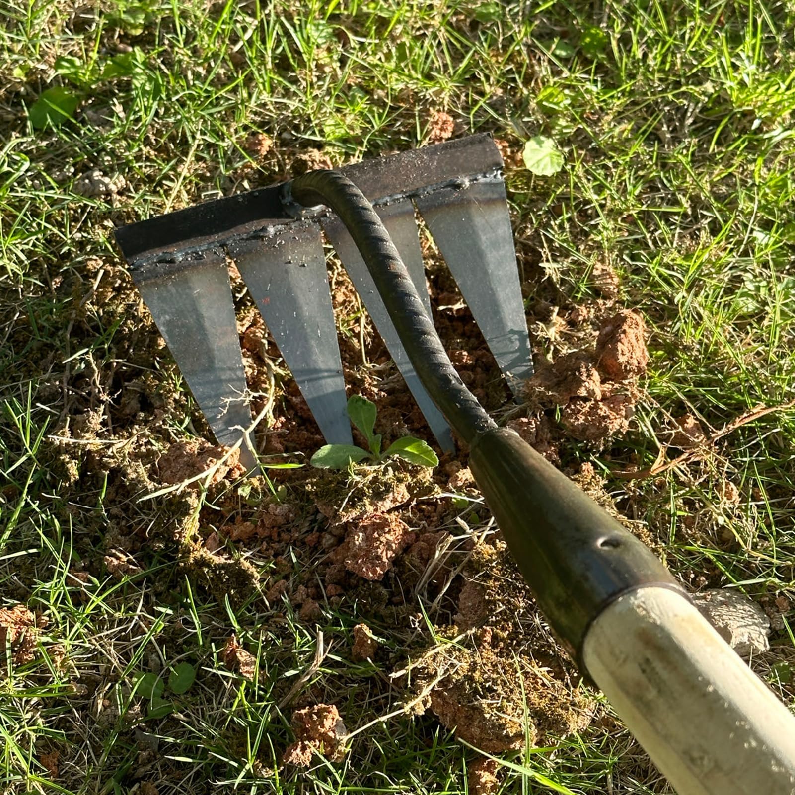 2 rastrelli da giardino in carbonio, in metallo, resistente, per diserbo e zappa, rastrello in ferro, per giardino, giardino, diserbo, allentamento, piantagione, 4 e 6 denti