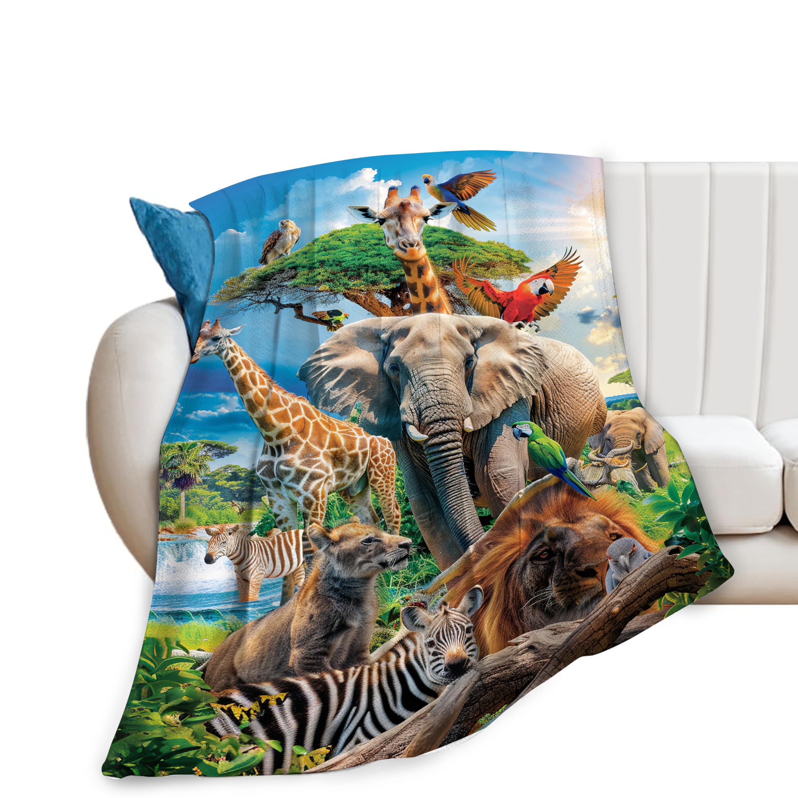 Amazon.com: Zoo Animals Blanket Funny African Elephant Giraffe