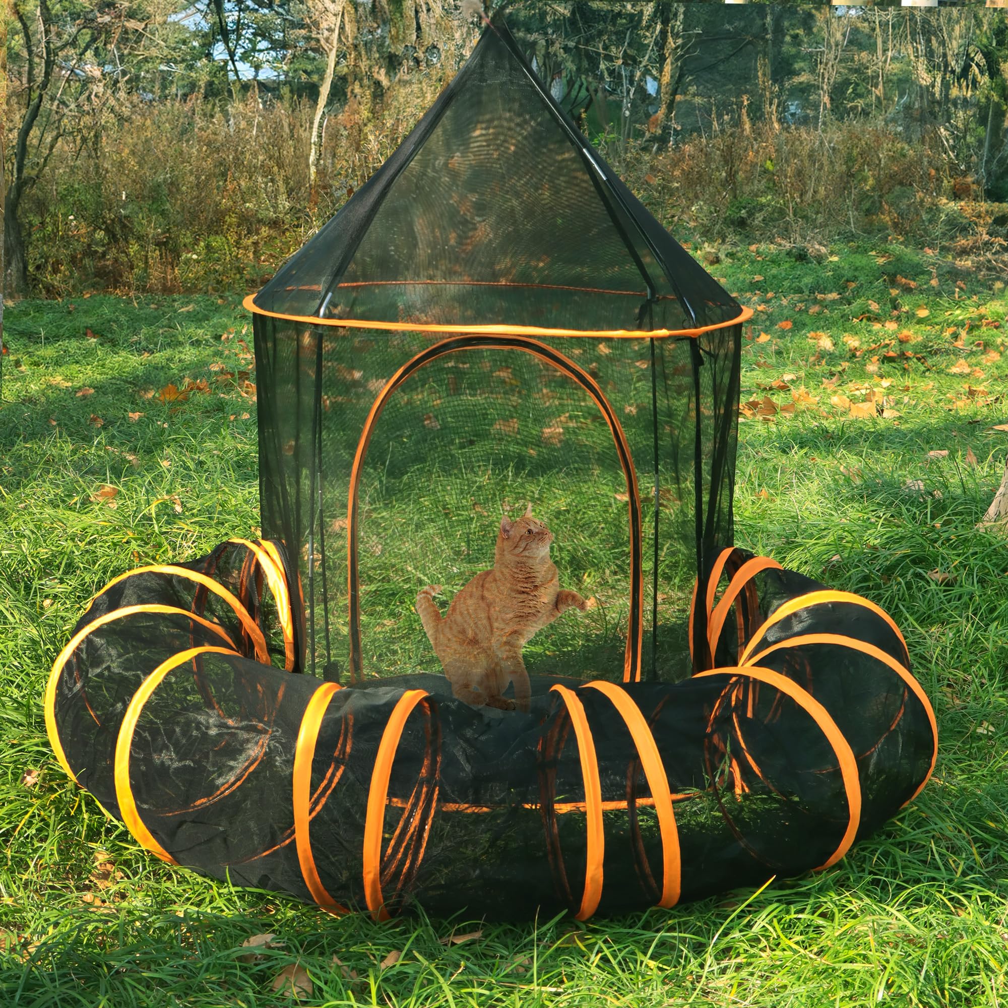 Katzentunnel Zum Spielen & Verstecken – Zusammenklappbar Mit Maus & Ball, 50 X 44,5 Cm, Orange