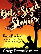 Bite-Sized Stories: A Multi-Genre Flash Fiction Anthology (Flash Flood Book 1)