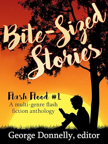 Bite-Sized Stories: A Multi-Genre Flash Fiction Anthology (Flash Flood Book 1)