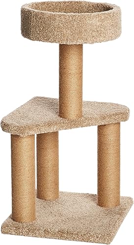Tienda Basics - Torre mediana de árbol de actividades para gatos con poste para arañar (16 x 16 x 31 pulgadas)