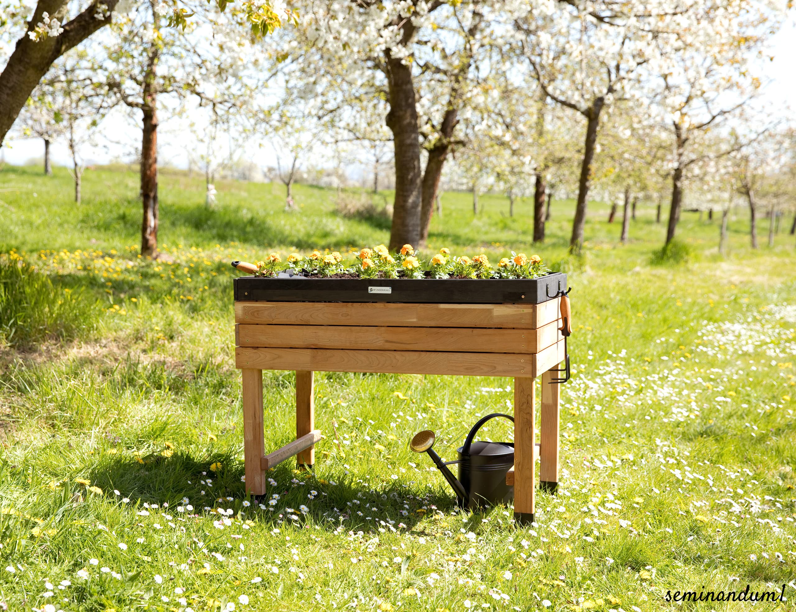 Huerto Urbano, Jardinera elevada de Madera de Cerezo para jardín, balcón o terraza, Kit de Maceta XL Rectangular lámina Interior, para Hierbas aromáticas, marrón Negro