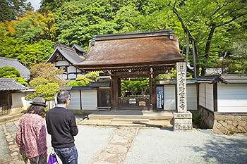 Amazon.co.jp: 新TV見仏記12 大和横断編 [DVD] : みうらじゅん