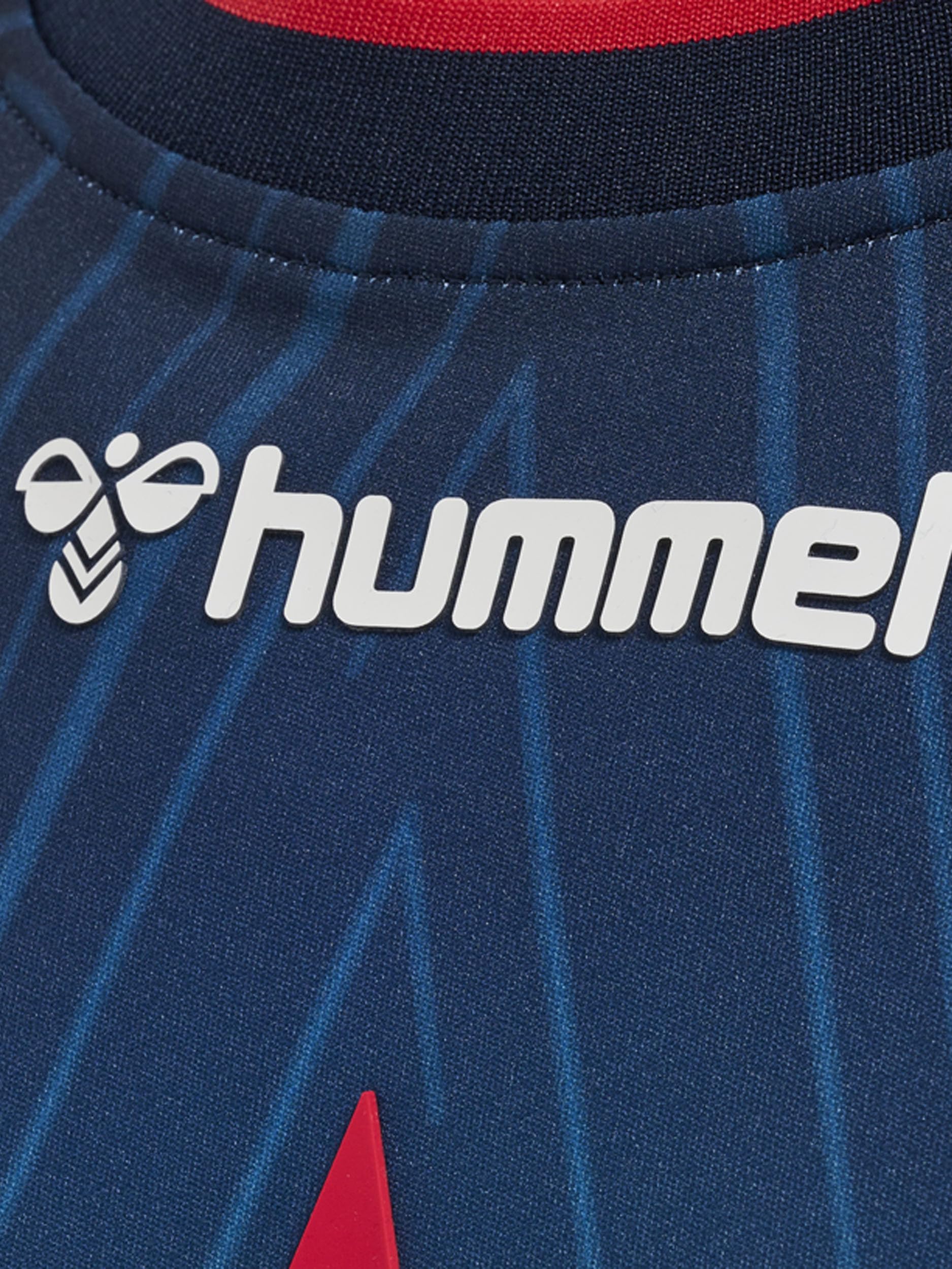 hummel T-shirt Mężczyźni Astralis 21/22 Game Jersey