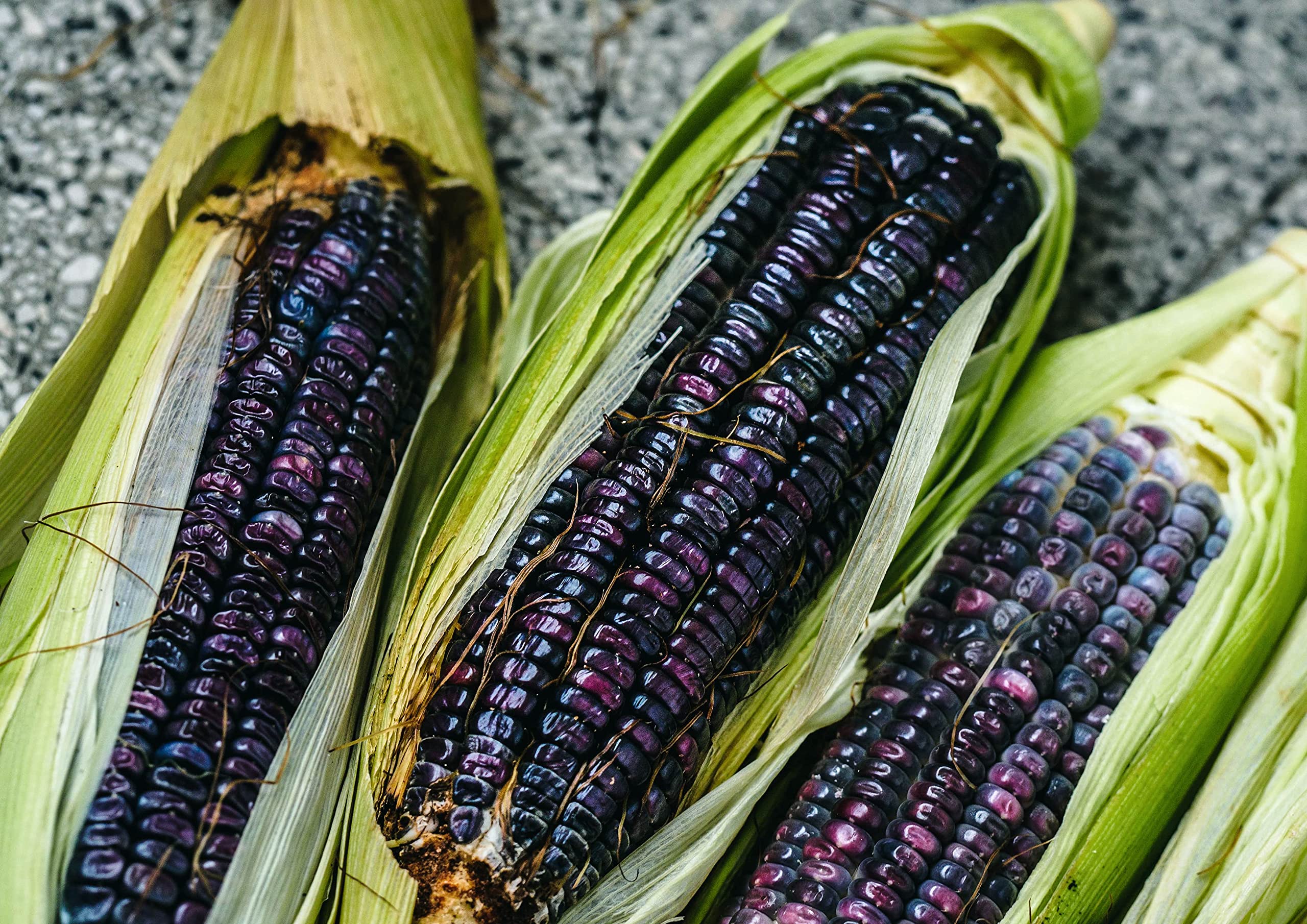 Organic Blue Corn Kernels, 5 Pounds - Non-GMO, Whole Dried Kernels, Vegan, Bulk. Cereal Grain. Good Source of Vitamin B6, Phosphorus. Great for Grinding. Perfect for Stews, Casseroles, Soups