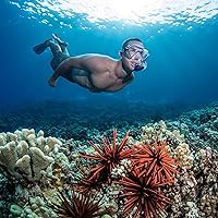 Vista 6 de Seavenger Conjunto de Snorkel Aviator con Bolsa de Equipo