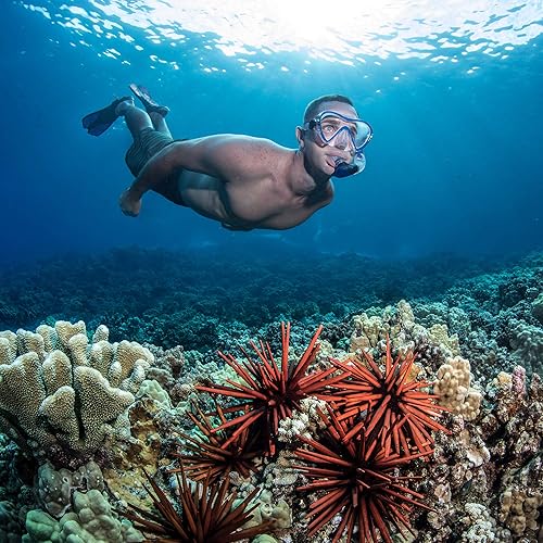 Miniatura 9 de Seavenger Aviator Snorkeling Set with Gear Bag