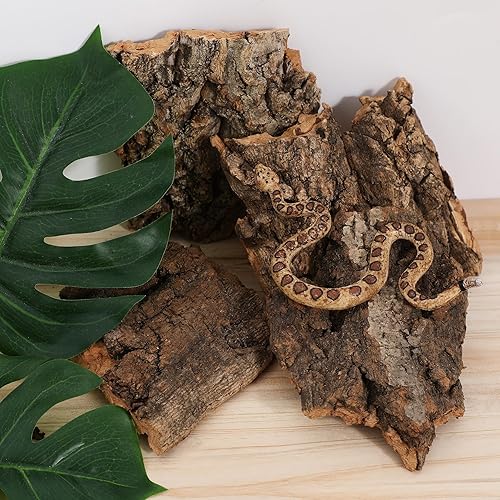 Toyvian Climbing Reptile Tree Bark: 4pcs Wooden Bark Mat Decor for Lizard Spiders Snake Turtle Hideout Cork Terrarium Background Leopard Gecko Tank Accessories