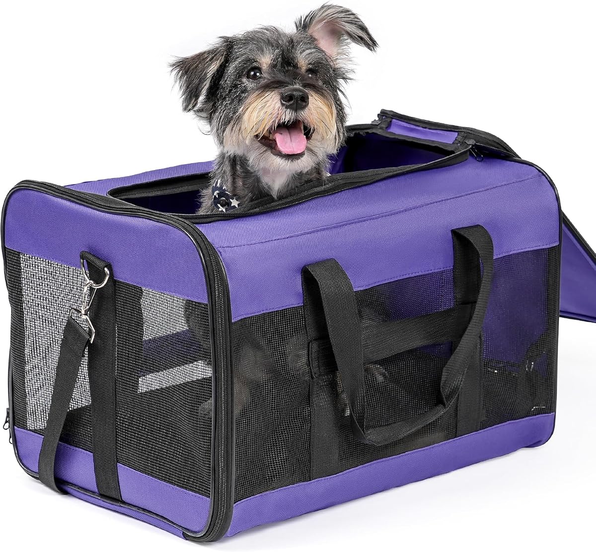 Dog Carrier Soft Sided, Large Cat Carrier with Inner Safety Leash, Pet Transport Carrier for Large Cats and Medium Dogs up to 20 Lbs, Collapsible Travel Puppy Carrier Bag -Purple L | with Inner Safety Leash, Pet Transport Carrier for Large Cats and Medium Dog, Collapsible Puppy Carrier Bag