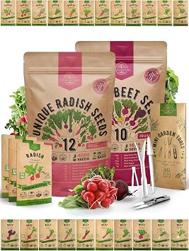 Organo Republic 12 Radish and 10 Beet Seeds Variety Pack Bundle, 4,025+ Non-GMO Heirloom Garden Seeds for Planting Radishes and Beets for Indoor & Outdoor Gardening