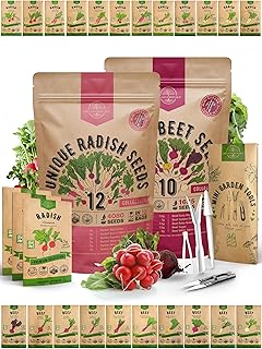 Organo Republic 12 Radish and 10 Beet Seeds Variety Pack Bundle, 4,025+ Non-GMO Heirloom Garden Seeds for Planting Radishes and Beets for Indoor & Outdoor Gardening