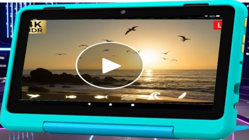 Seabirds at Sunset 4K – Coastal Relax Ambience Fire TV – vue 4
