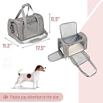 Mr. Pen Pet Carrier, Cat & Dog Carrier, Soft-Sided, Grey, 17.5"L x 11.2"W x 11.5"H, Up to 15lbs, Travel, Breathable, Durable, Lightweight | Portable Travel Carrier for Small Pets, Cats & Small Dogs, Breathable Mesh, Safety Inner Leash