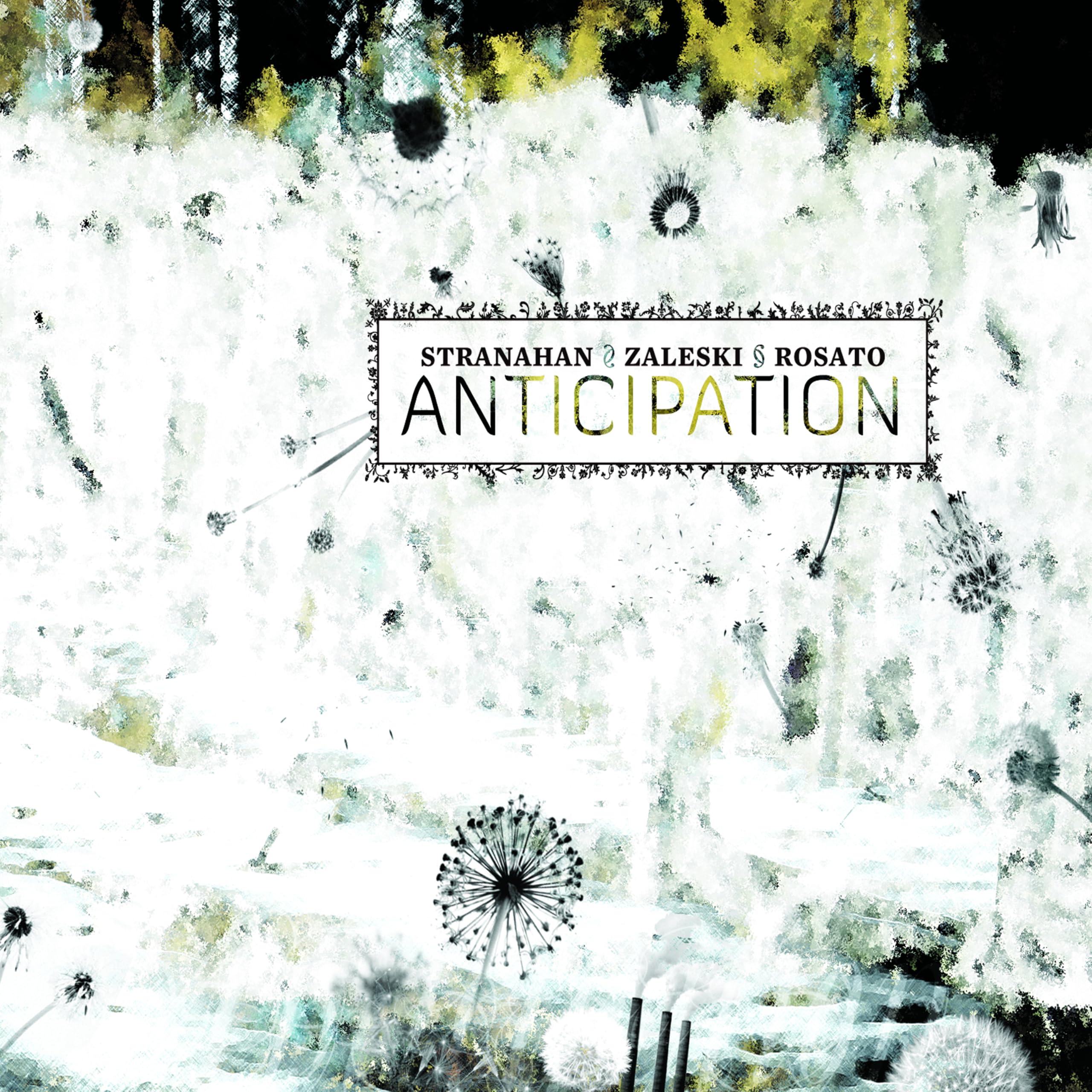 Anticipation [Audio CD] Stranahan, Zaleski & Rosato