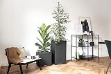 Lechuza Self Watering Plant Pot CANTO Stone 40 Low Plastic Indoor and Outdoor Plant Pot with Drainage Hole H40 L40 W40 cm Graphite Black - 6