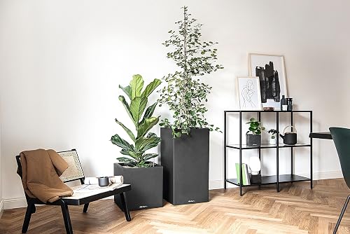 Lechuza Self Watering Plant Pot CANTO Stone 40 Low Plastic Indoor and Outdoor Plant Pot with Drainage Hole H40 L40 W40 cm Graphite Black - 6