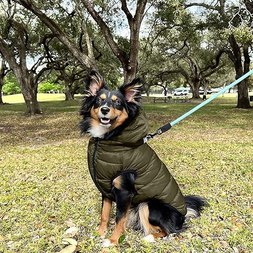Miniatura 2 de Pawtitas Chaqueta reversible resistente al viento para perro  Resistente al agua  Abrigo de perro para invierno para mantener a tu cachorro caliente