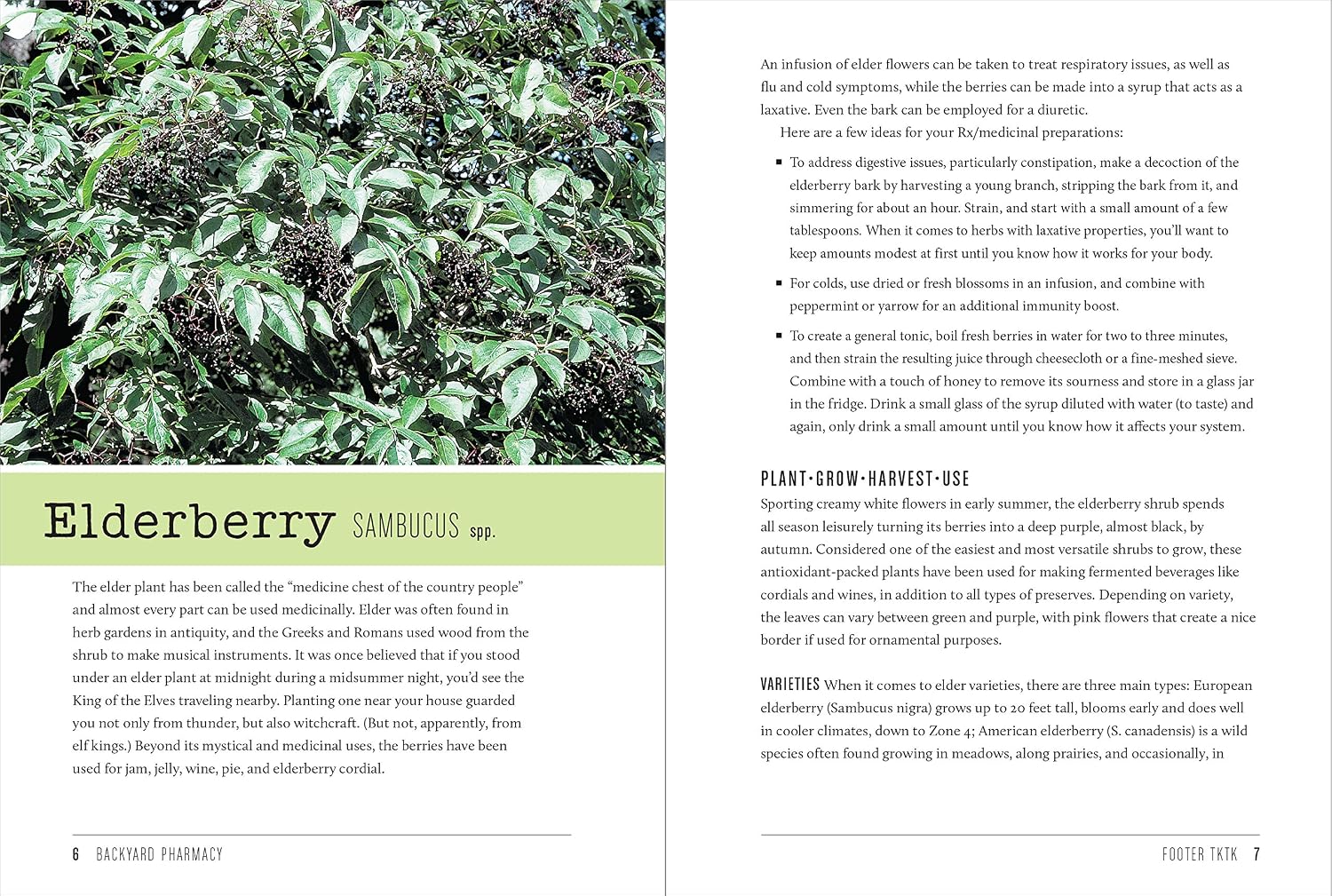 Backyard Pharmacy: Plants as Medicine - Plant, Grow, Harvest, and Heal