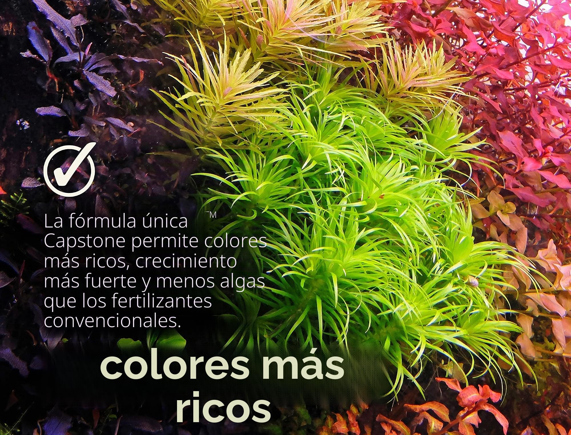 THE 2HR AQUARIST Abono Plantas Acuario APT 1/ Zero (600ml)