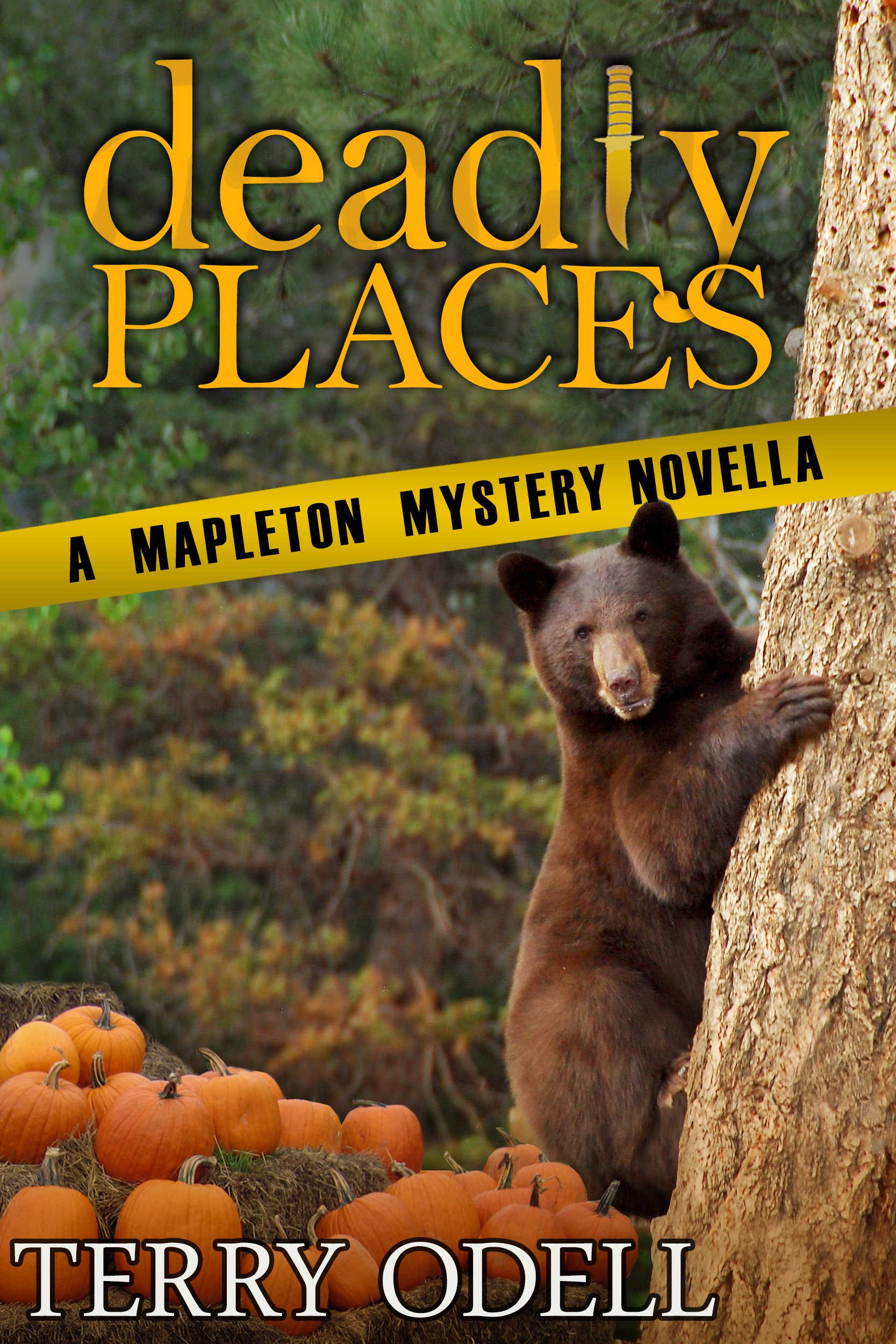 Deadly Places: A Police Procedural Cozy Novella (Mapleton Mystery Book 5)