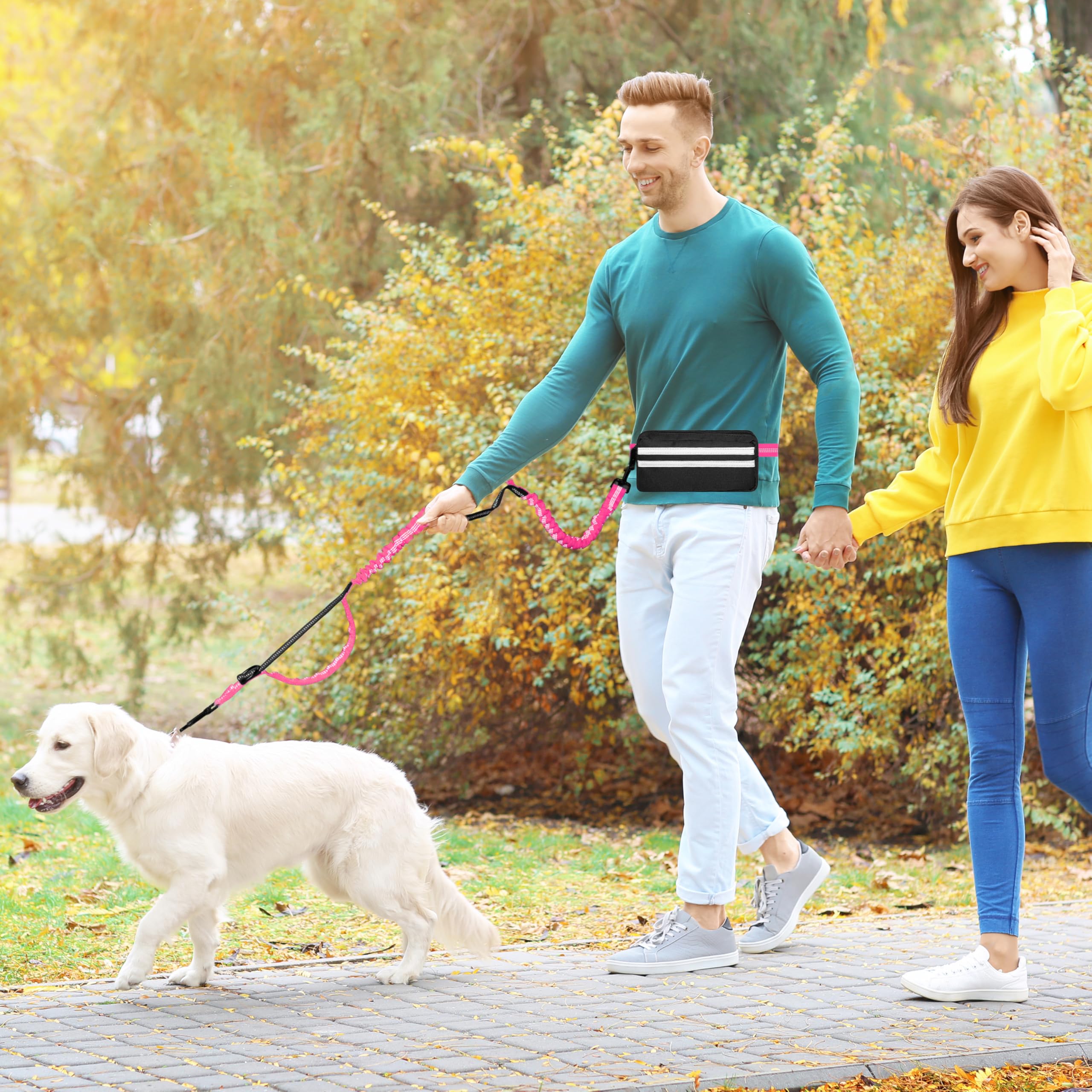 Freihändige Hundeleine mit Reißverschlusstasche, Lauf-Taillenleine für Spaziergänge mit dem Hund, verstellbarer Hüftgurt für große Hunde, reflektierendes Bungee-Design mit zwei Griffen zum