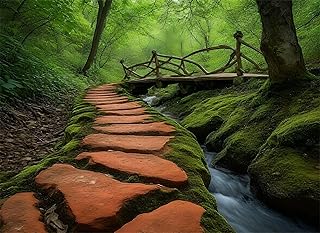 Puzzle 200 Piezas, Puzzles Adultos, Puzzle Bosque Colorido Puzzles de Madera, Paisaje Rompecabezas de Piso de Impresión de Alta Definición Multicolor, Pasatiempo Creativo, Regalo, Diversión g-381