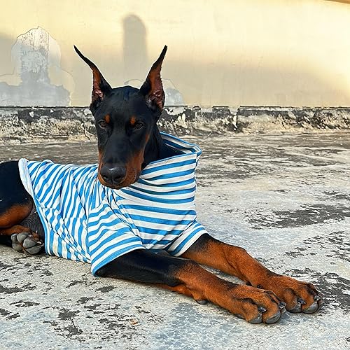 Miniatura 10 de Linda camisa bordada para perro, cuello alto, suéter elástico de algodón a rayas para mascotas, suéter para gatos y perros pequeños (XS, rayas