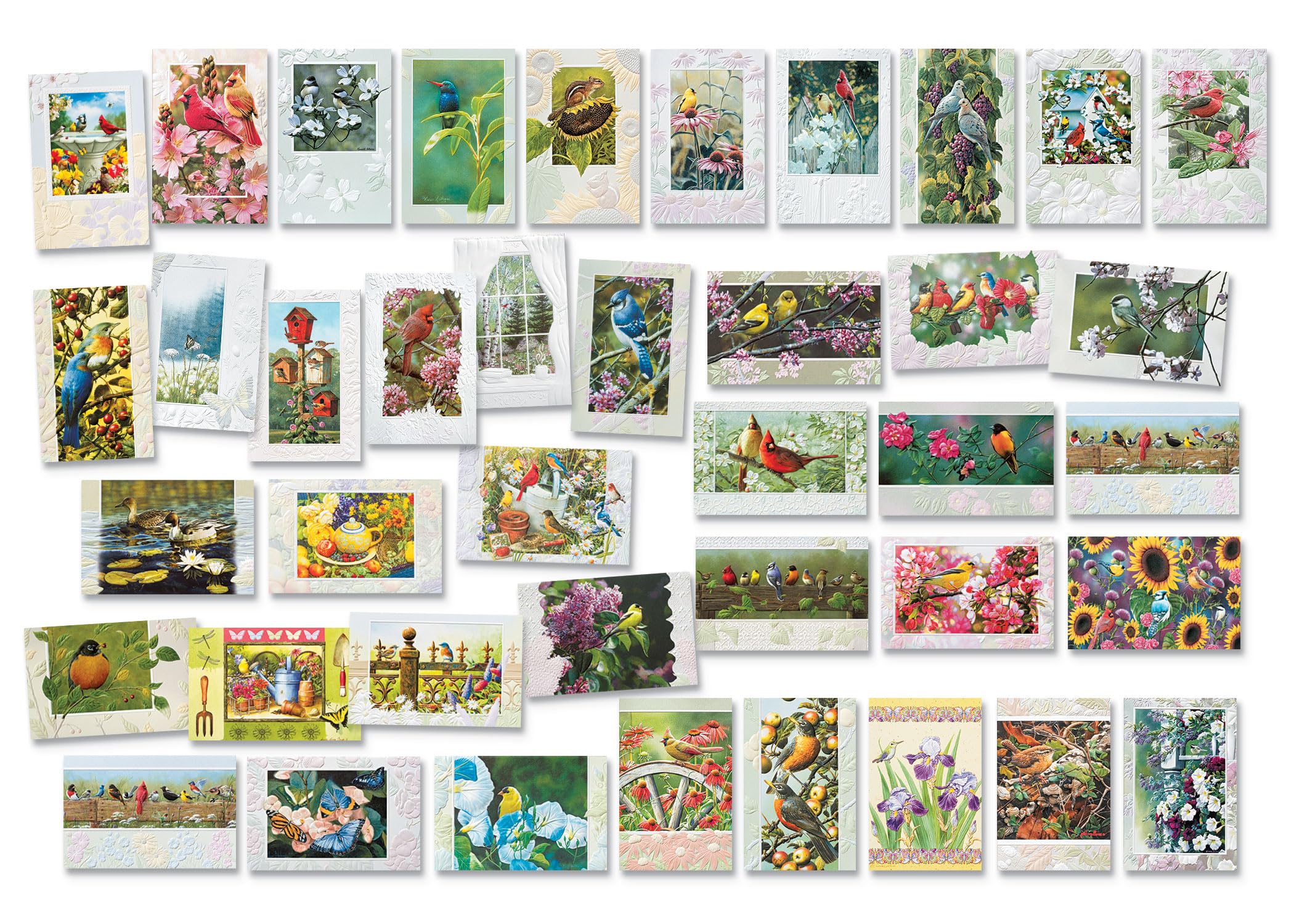 Pumpernickel Press Embossed Greeting Cards Boxed Set – “Garden Visitors” 40 Count, Assorted All-Occasion Cards, Nature-Themed with Multi-Level