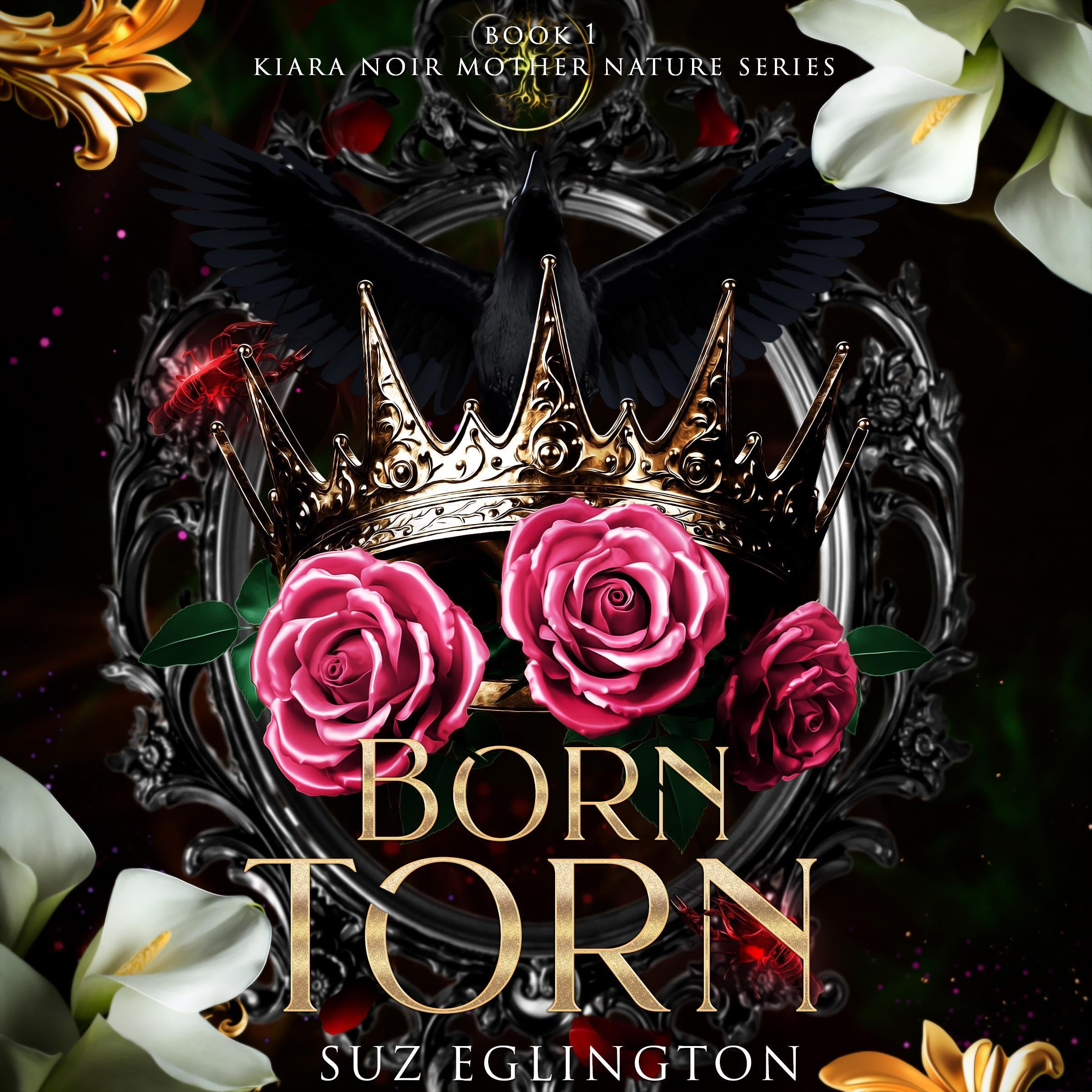 Cover art for Born Torn
