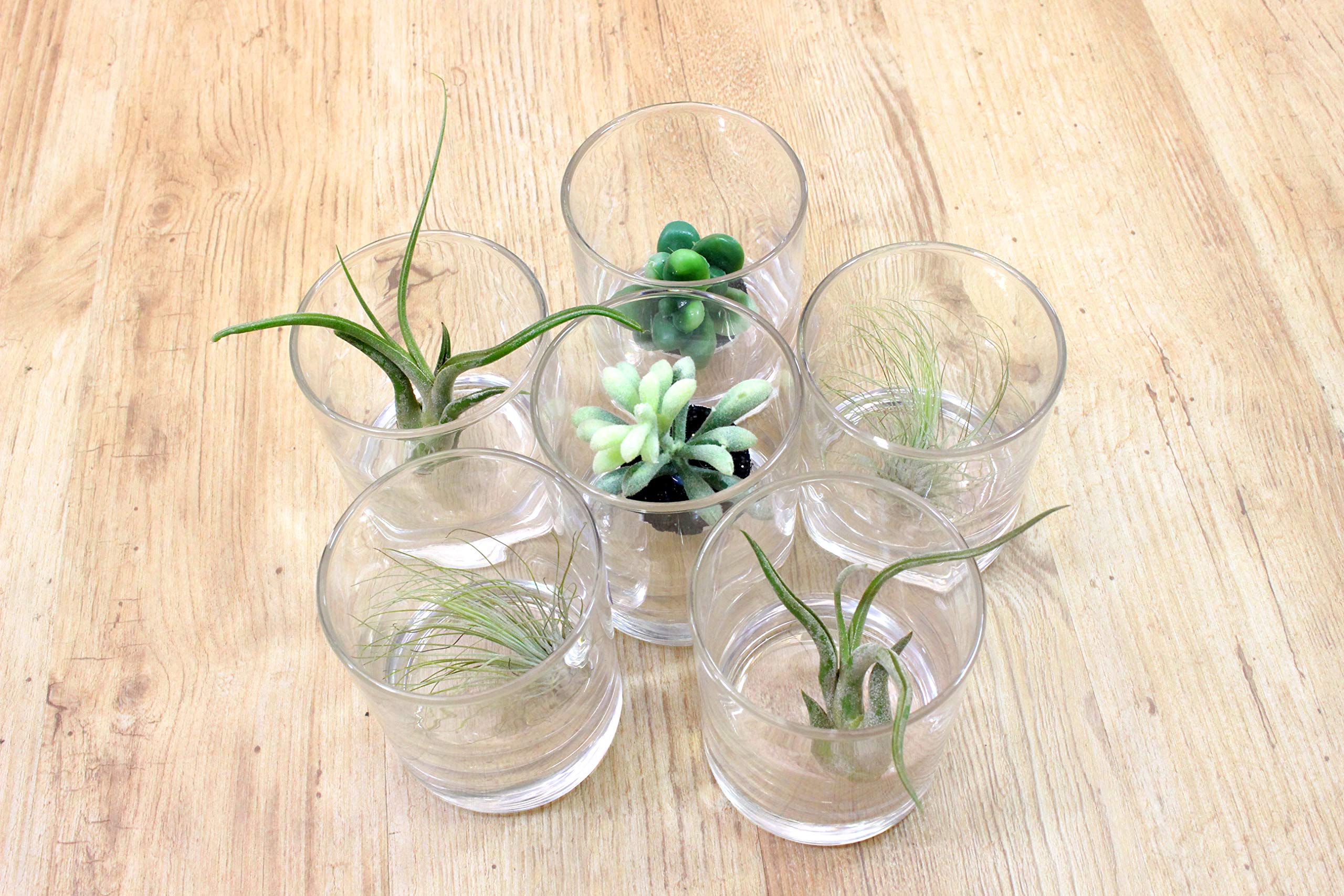 Amazon.co.jp: キャッスルエンタープライズ フラワーベース