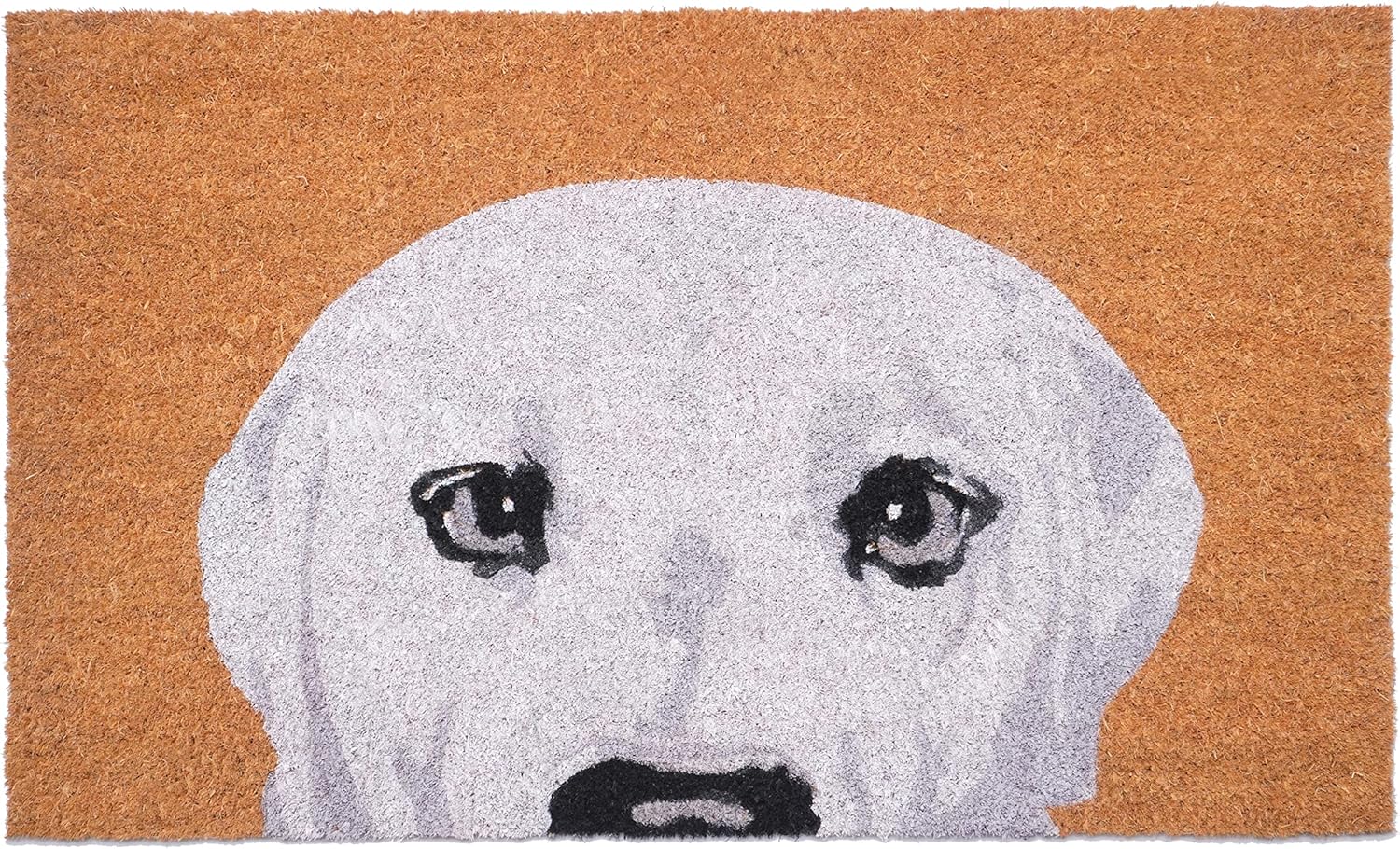 Calloway Mills Golden Doormat (17" x 29")